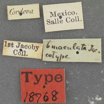 Media type: image; Entomology 18768   Aspect: labels